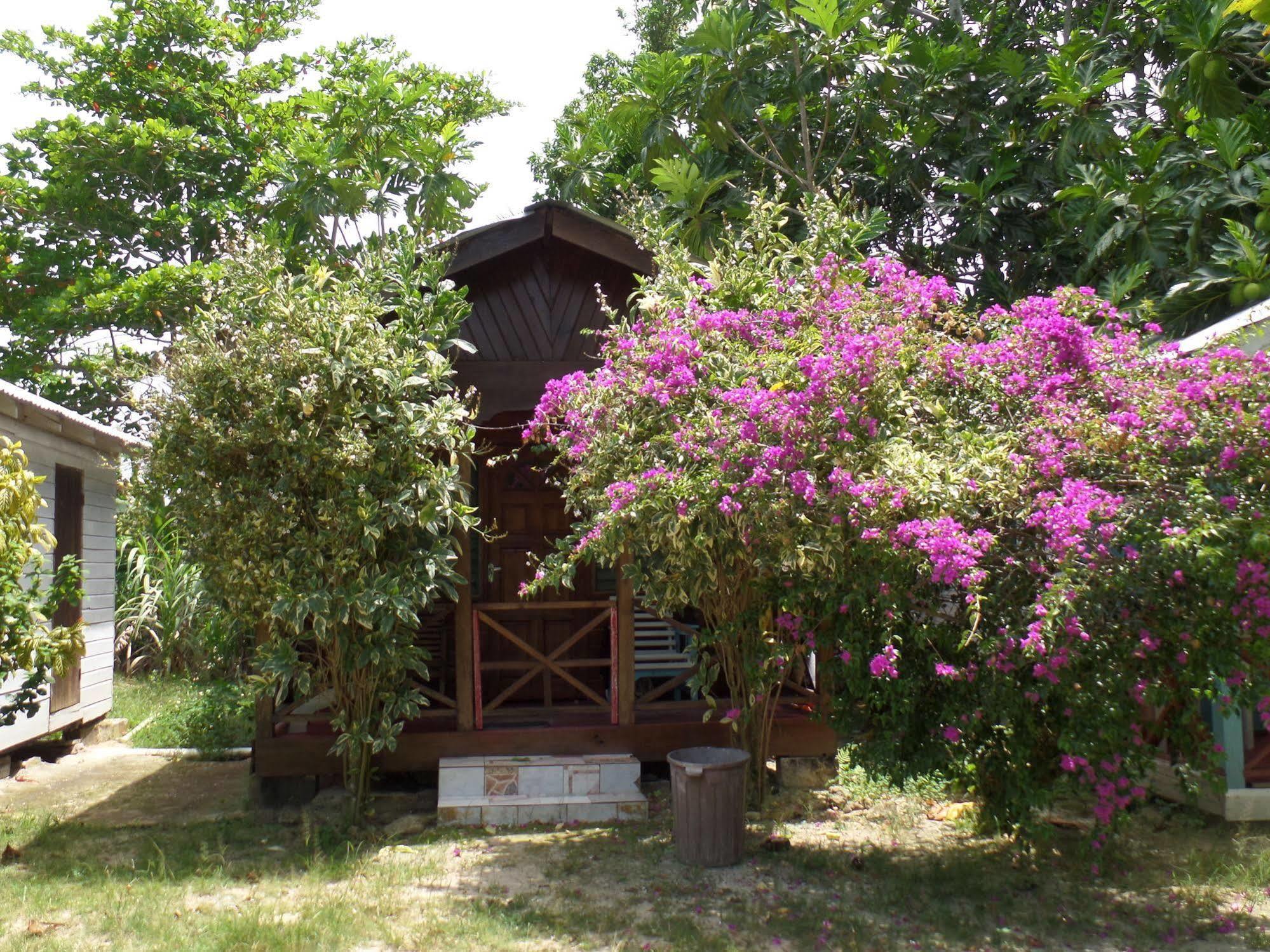 Beach Road Cottages At Jah Bs Negril Exterior photo